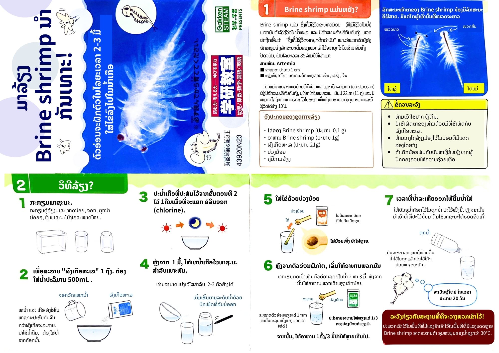 Gallery 1 background