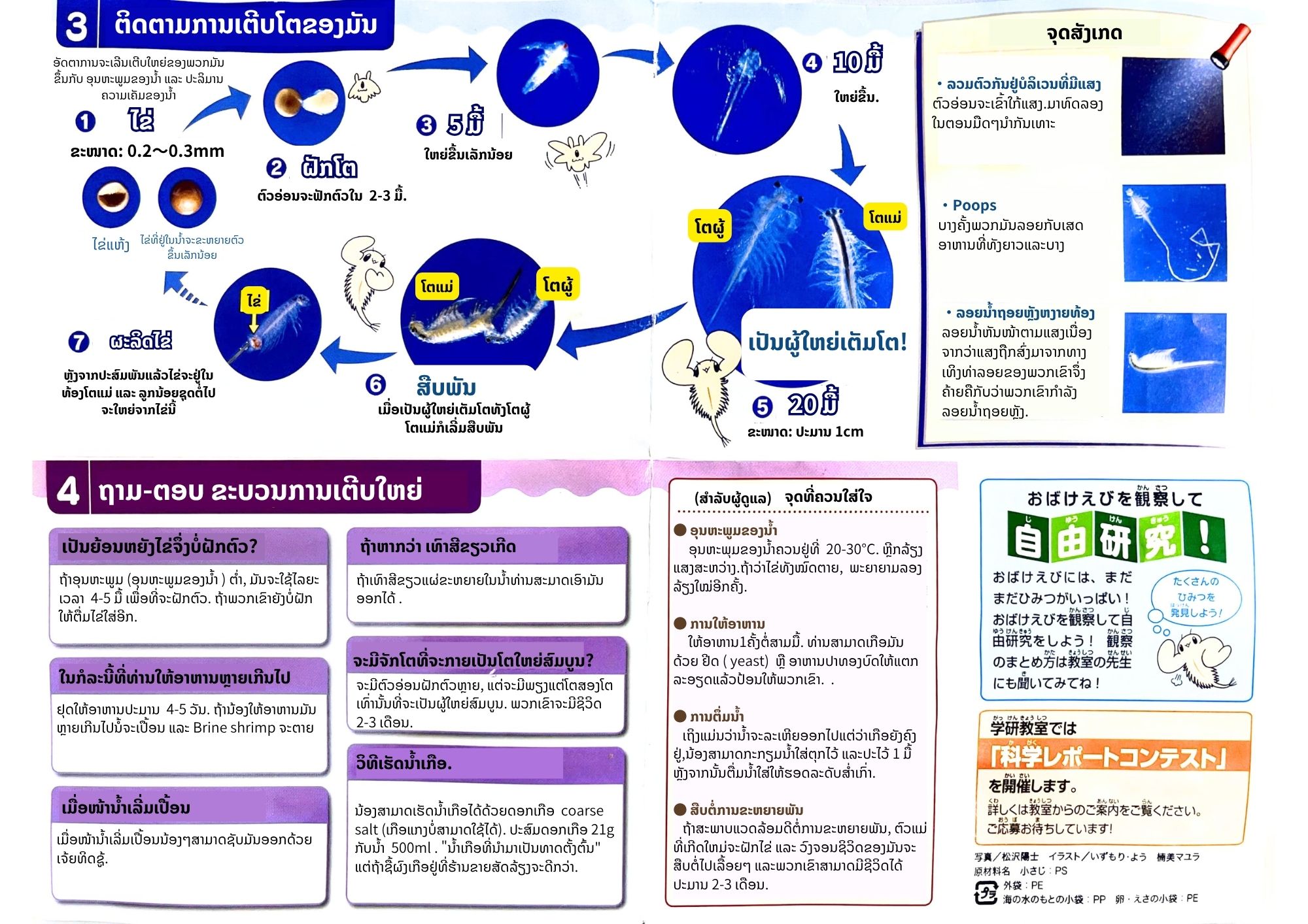 Gallery 2 background