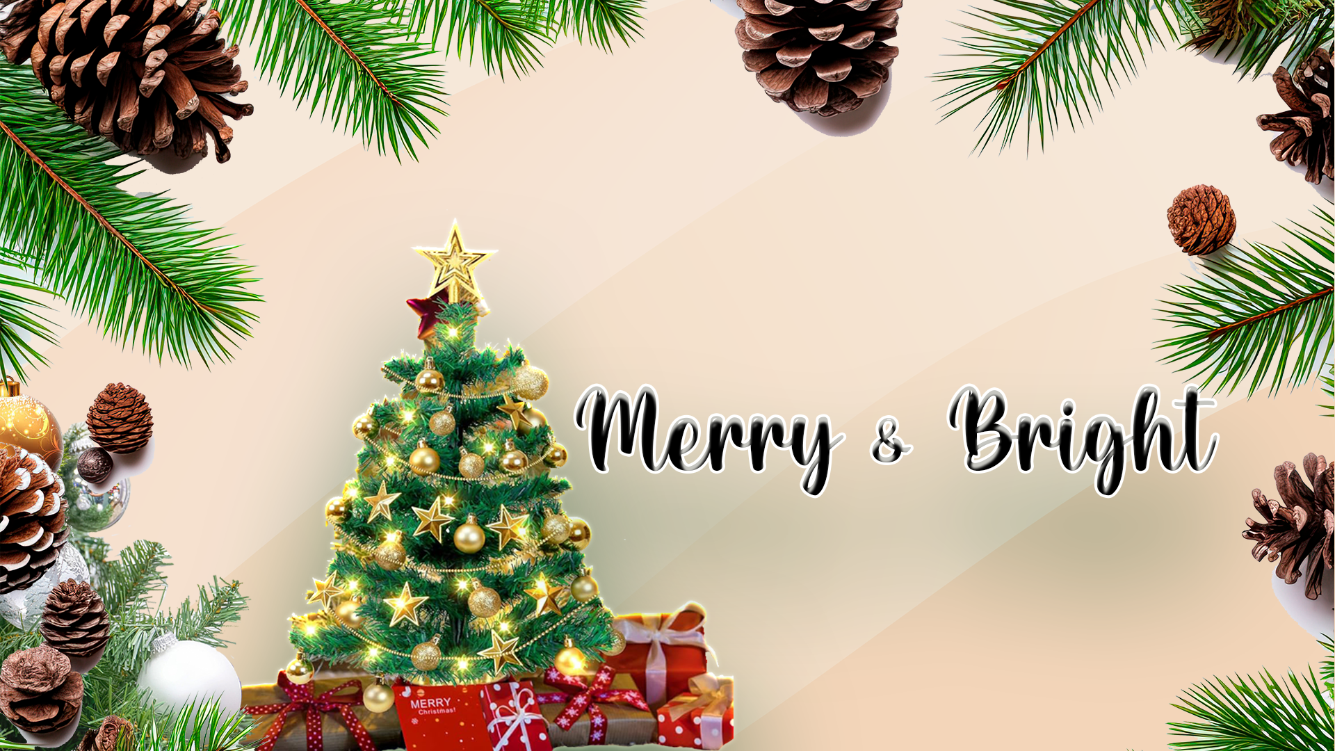 Gallery 3 background